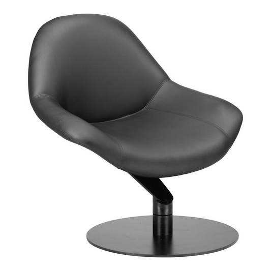 Poole Accent Chair Black - Elegant Swivel Chair for Any Space